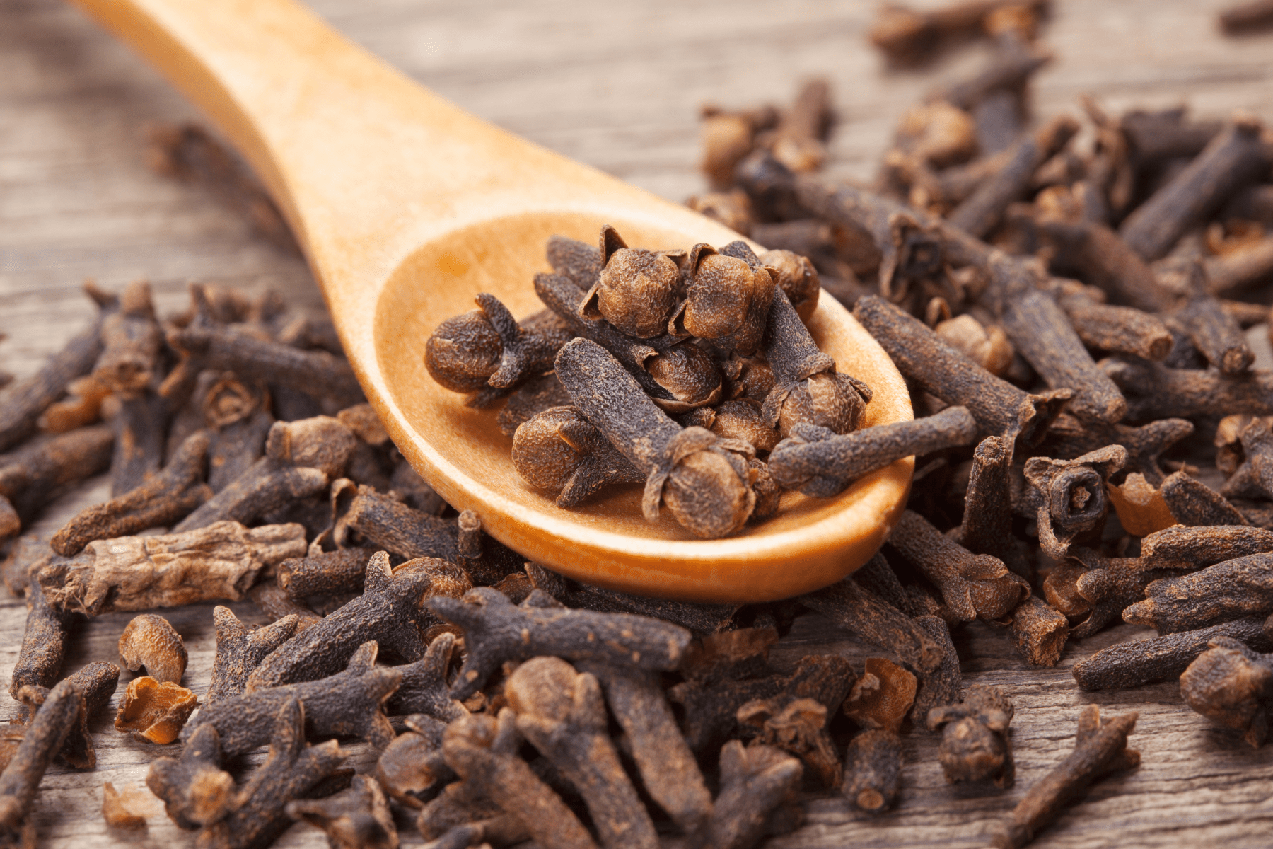 Ceylon Cloves - Ceylon Typicals