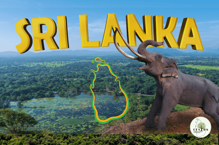 Top 7 Unique Reasons to Visit Sri Lanka: “The Pearl of the Indian Ocean”