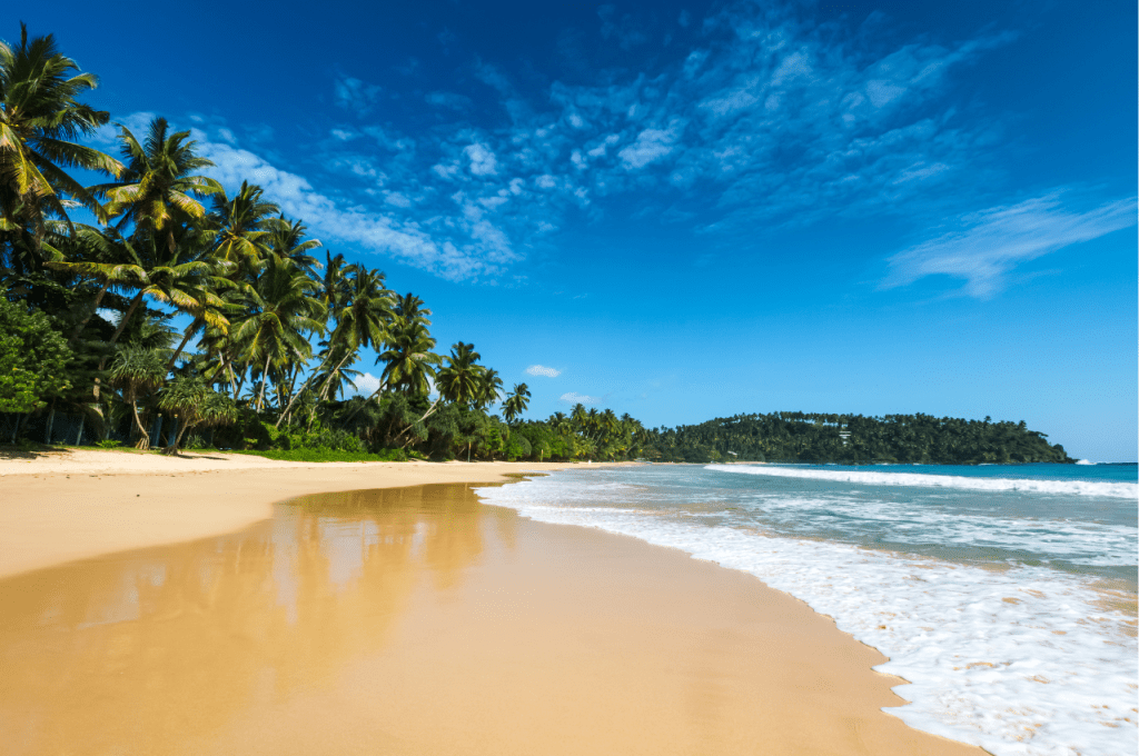 Top 7 Unique Reasons to Visit Sri Lanka