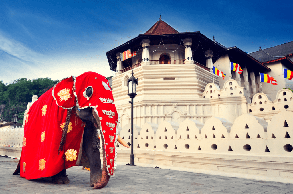 Top 7 Reasons to Visit Sri Lanka - Kandy Temple